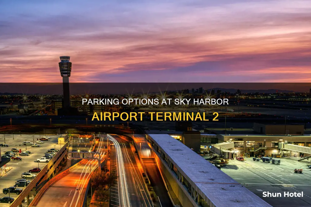 can you parking in sky harbor airport for terminal 2