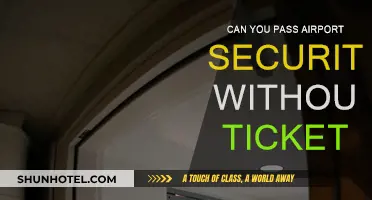 How to Navigate Airport Security Without a Ticket