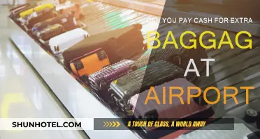 Paying for Extra Baggage: Cash or Card at the Airport?