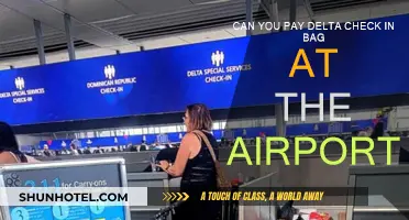 Delta Checked Bag Fees: Pay at Airport or Online?