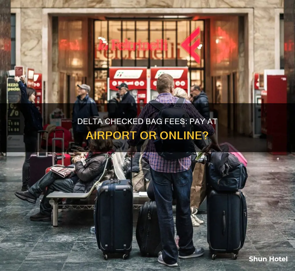 can you pay delta check in bag at the airport