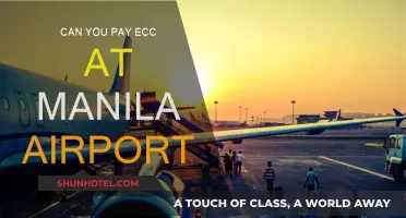 A Smooth Landing: Paying ECC at Manila Airport