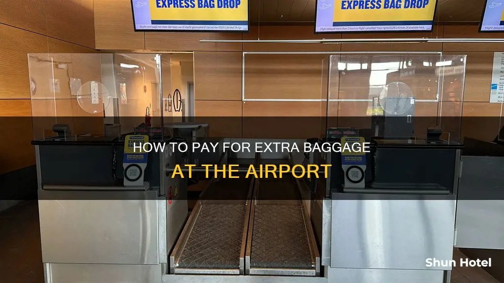 can you pay for a bag at the airport