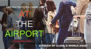 How to Pay for Carry-Ons: Airport Guide