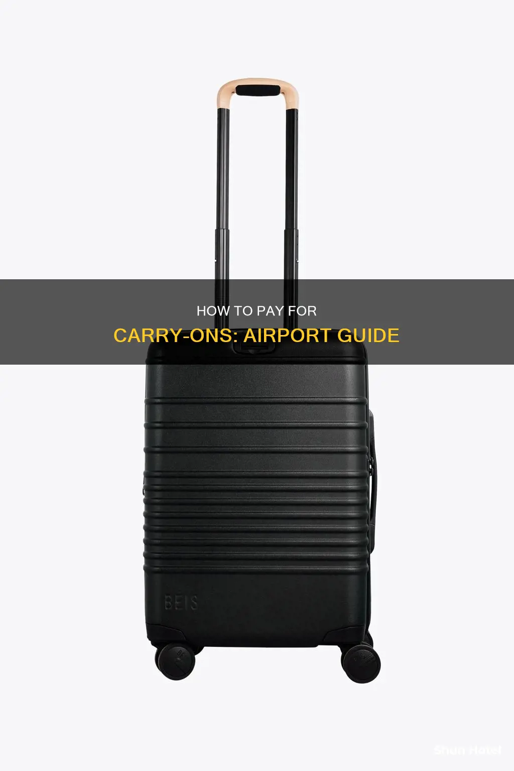 can you pay for a carry on at the airport