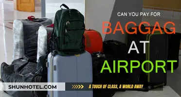Baggage Payment Options: Airport Kiosks or Online?