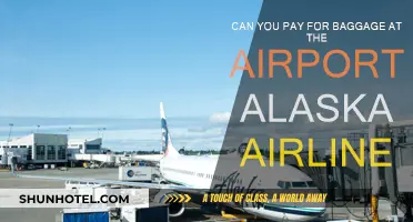 Baggage Payment Options at Alaska Airlines Airports