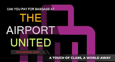 Bag Drop Offs: Paying for Baggage at United Airport Kiosks