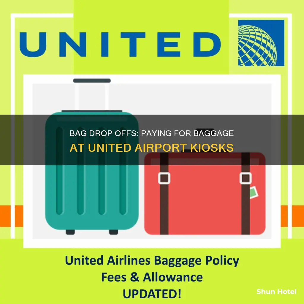 can you pay for baggage at the airport united