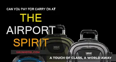 Spirit Airlines: Paying for Carry-Ons at the Airport