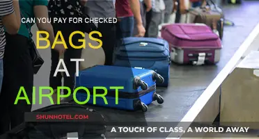 How to Pay for Checked Bags at the Airport