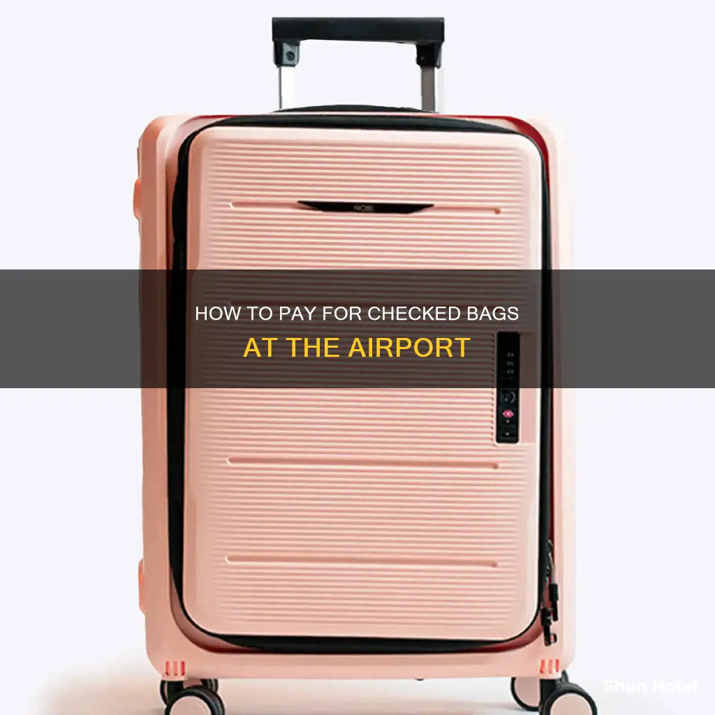 can you pay for checked bags at airport
