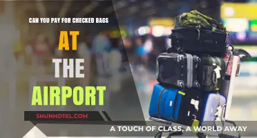 How to Pay for Checked Bags at the Airport?