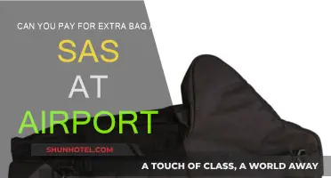 Extra Baggage Fees: SAS Airport Options