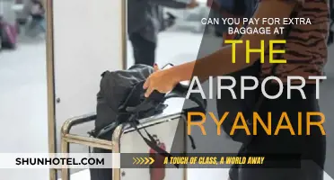 Ryanair's Extra Baggage: Pay at the Airport?