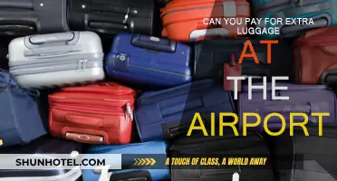 Extra Luggage at the Airport: Pay and Go