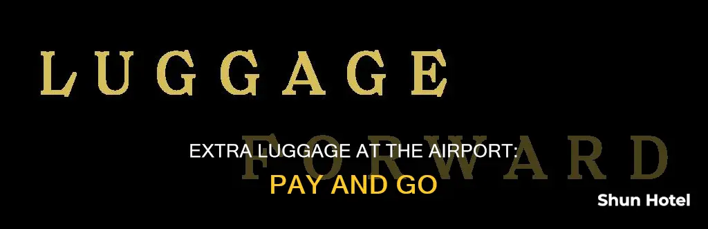 can you pay for extra luggage at the airport