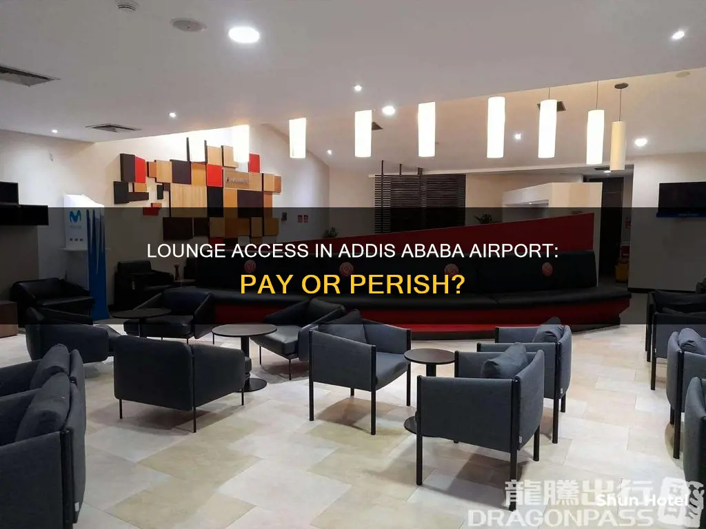 can you pay for lounge access in addis ababa airport