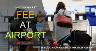 How to Handle Pet Fees at the Airport