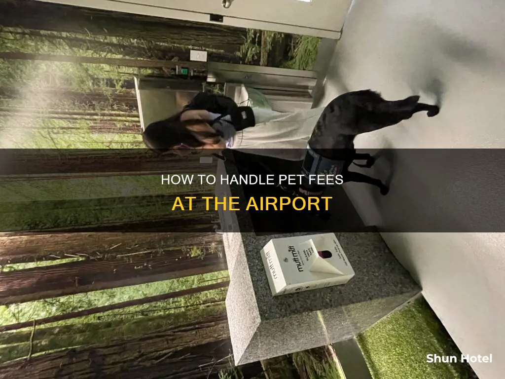 can you pay pet fee at airport