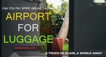 Spirit Airlines: Cash Payment for Luggage at Airport?
