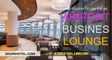 Accessing the BA Airport Business Lounge: What's the Cost?