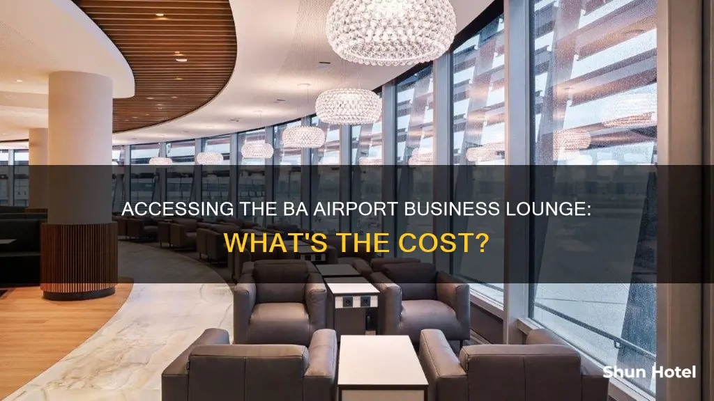 can you pay to use the ba airport business lounge