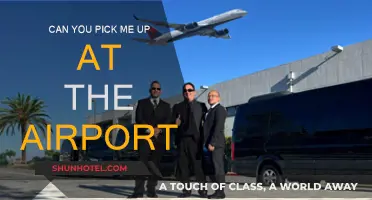 How to Ask for a Ride from the Airport