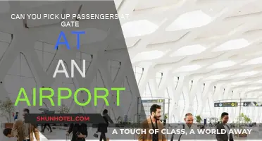 Airport Passenger Pick-Up: Where to Go?