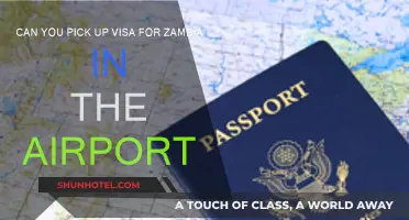 Zambia Visa: Airport Pick-up or Not?