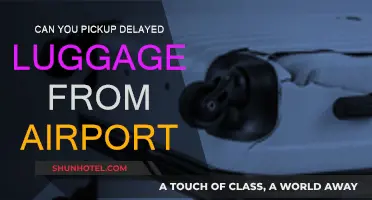 Delayed Luggage: Can You Pick It Up from the Airport?