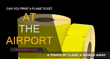 Printing Plane Tickets: Airport Kiosks to the Rescue