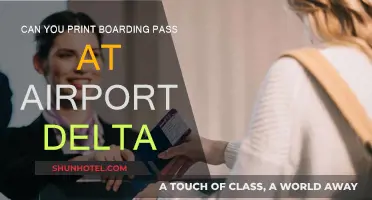 Printing Delta Boarding Passes: Airport Kiosks to the Rescue