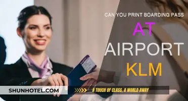 Printing Your KLM Boarding Pass at the Airport