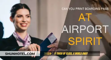 Printing Your Spirit Boarding Pass at the Airport