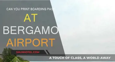 Printing Your Boarding Pass at Bergamo Airport