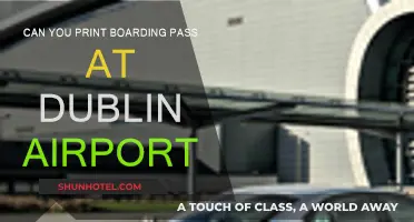 Printing Boarding Passes: Dublin Airport Kiosks
