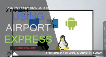 Printing from iPad: Airport Express Possibilities