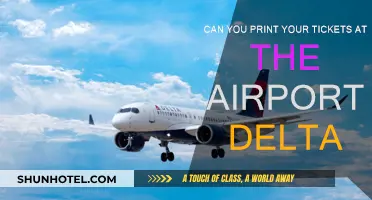Printing Delta Tickets: Airport Kiosks to the Rescue