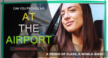 Airport API Access: A Traveler's Guide to Efficiency