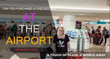 Last-Minute Checked Baggage: Buying at the Airport