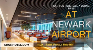 Lounge Access at Newark Airport: Can You Buy It?