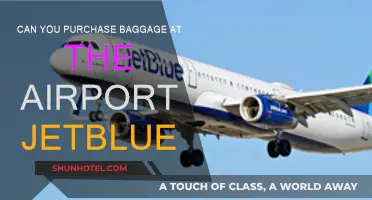 Where to Buy Baggage at the Airport for JetBlue Flights?
