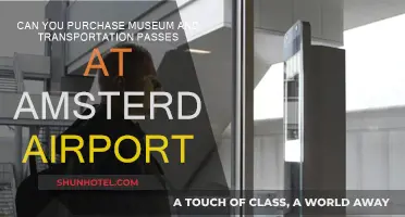 Amsterdam Airport: Transportation and Museum Passes Available