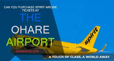 Spirit Airlines at O'Hare: Buying Tickets at the Airport