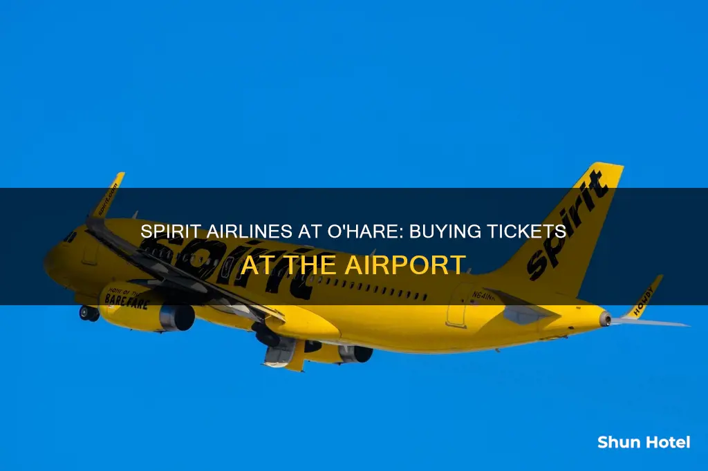 can you purchase spirit airline tickets at the ohare airport