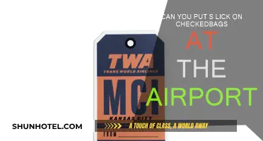 A Slick Solution: Luggage Security at Airports