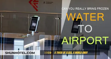 Flying with Frozen Water: What You Need to Know