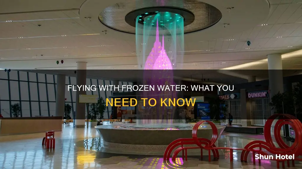 can you really bring frozen water to airport