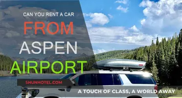 Aspen Airport: Renting a Car Directly at the Terminal